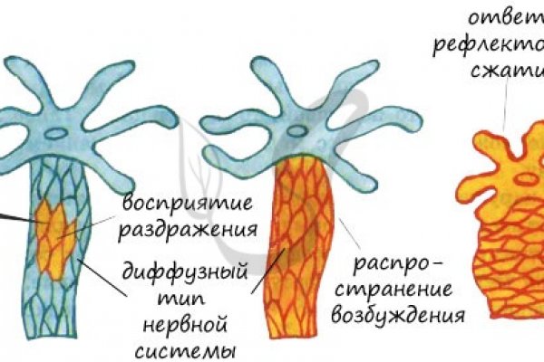Кракен короткая ссылка