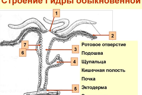 Кракен сайт kr2web in зеркало рабочее